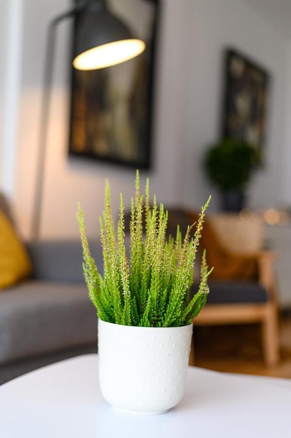 North Artistique - Aviatiei Apartment Bucharest Luaran gambar